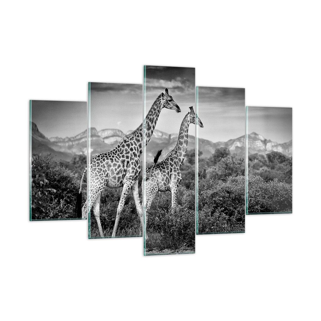 Bilder auf glas - 5 Teile - Giraffen Schwarzweiß Fotografie - 150x100cm - Glasbilder - Wandbilder - Bilder - Wanddekoration aus Glas - Glas Bilder...