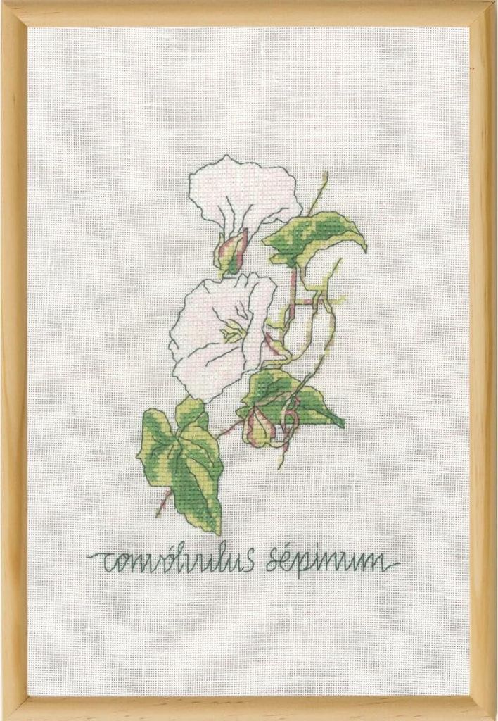 Permin Kreuzstich Stickpackung "Calystegia", Zählmuster, 20x30cm, 70-1832