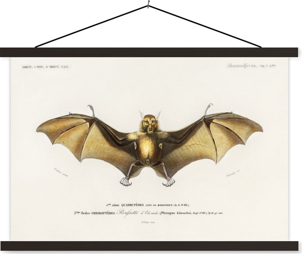 MuchoWow Textilposter Vintage - Fledermaus - Tier 90x60 cm mit schwarzem Rahmen - Aufhängungssatz
