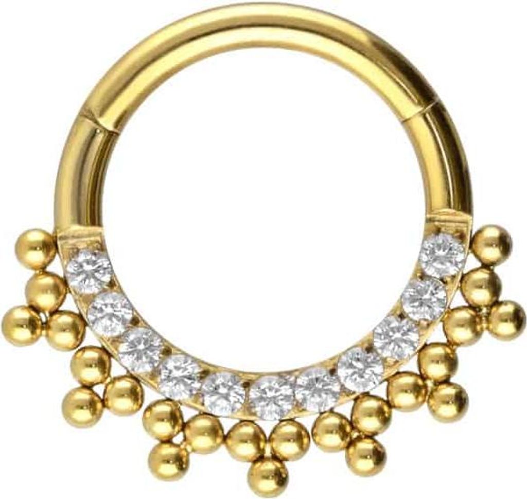 Ohrpiercing, Nasenpiercing, Septum Piercing Titan Segmentring Clicker EINGEFASSTE KRISTALLE + KUGELN