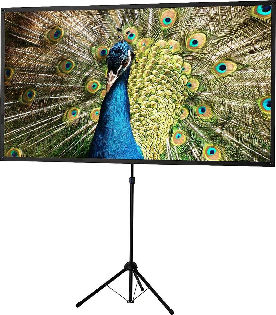 Celexon 1091741, Ręczny, 112 cm, 199 cm, 16:9 Zdjęcie produktu 