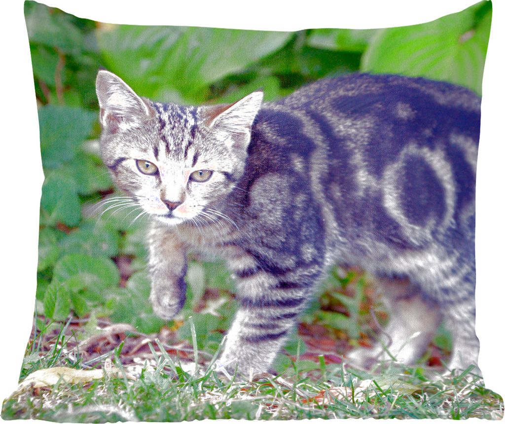 MuchoWow Zierkissen Sofakissen Wohnzimmer Dekokissen 40x40 cm Katze - Haustier - Garten - Mädchen - Kinder - Kinder - Kind - Foto Kissen - Schla...