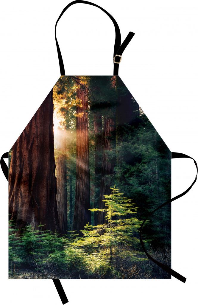 ABAKUHAUS Nationalparks Kochschürze, Morgen-Sonnenlicht in Wildnis Yosemite Sierra Nevada Vereinigte Staaten Natur, Farbfest Höhenverstellbar Was...