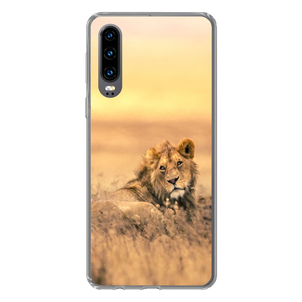MuchoWow Handyhülle Schutzhülle Hülle für Huawei P30 Löwen - Gras - Himmel Silikon Softcase Handy Hülle - Kartenbesitzer