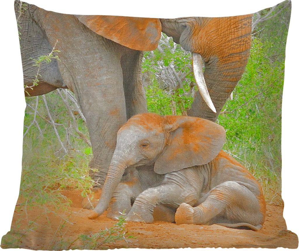 MuchoWow Zierkissen Sofakissen Wohnzimmer Dekokissen 40x40 cm Elefant - Tiere - Sand - Natur - Foto Kissen - Schlafzimmer Dekoration