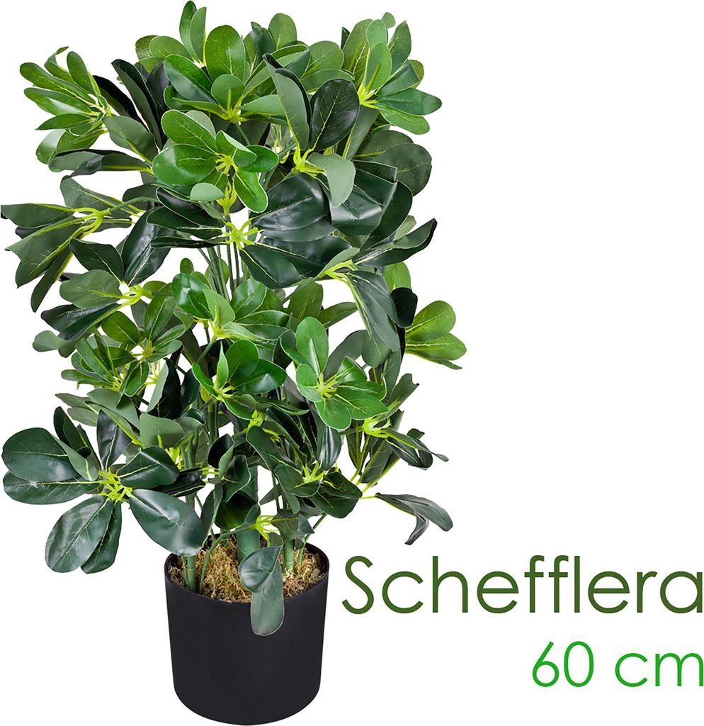 Schefflera Arboricola Plante Arbre Artificielle Artificiel Image du produit 