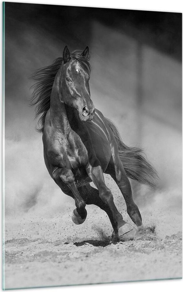 Bilder auf glas - Einteilig - Pferd Galopp dynamisch - Produktbild 