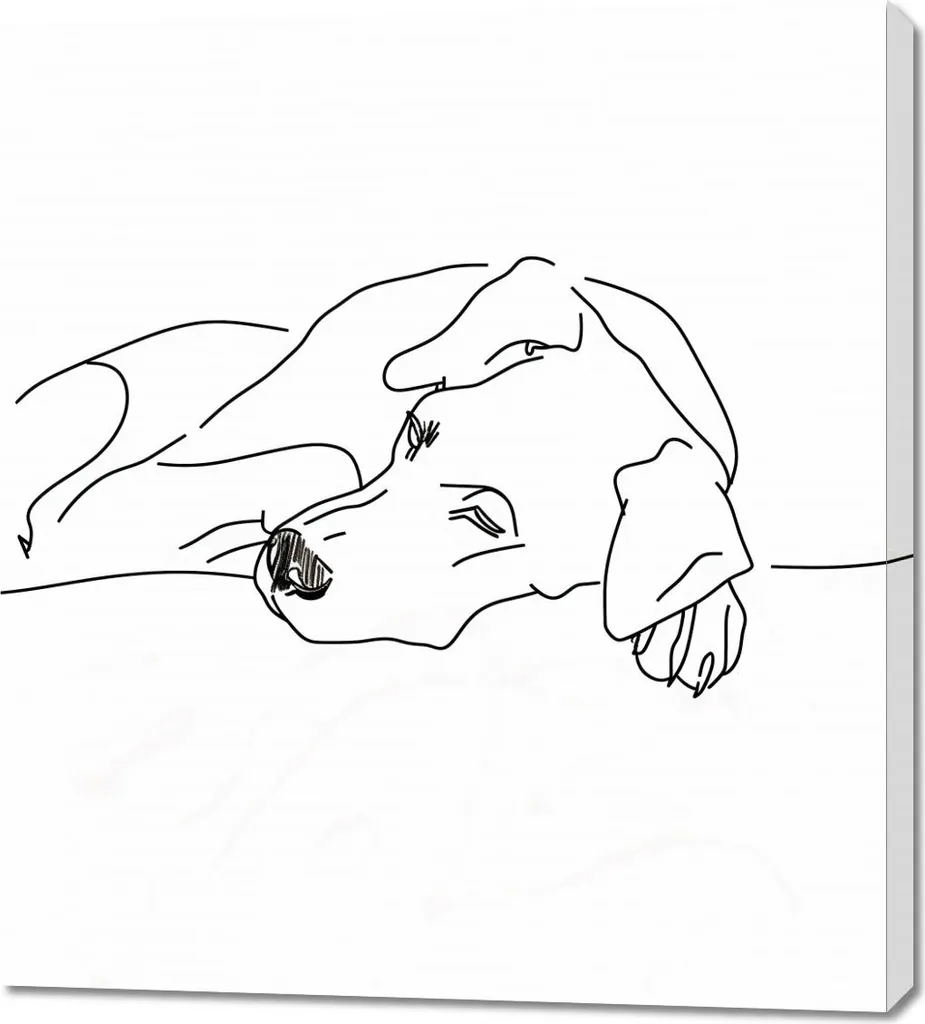 Decorazione Parete: Quadro Il Riposo del Cagnolino 90x100 cm Premium