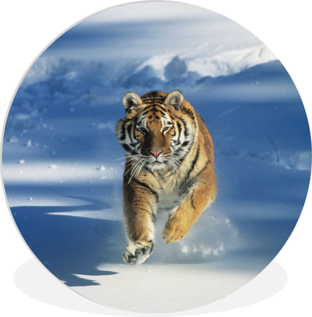 MuchoWow Rundes Wandbild - Runde Bilder Tiger - Schnee - Lauf Ø 30 cm Kreis Wanddekoration Kunststoff - Wandkreis - Wandschmuck - Schlafzimmer -...