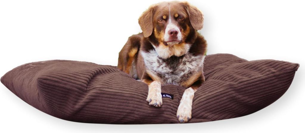 4L Textil MOLLY Hundekissen flauschig Cord Hundebett Grosse Hunde mit Bezug und Reißverschluss kuscheliges Hundekissen waschbar (100x80 cm, Dunkel...