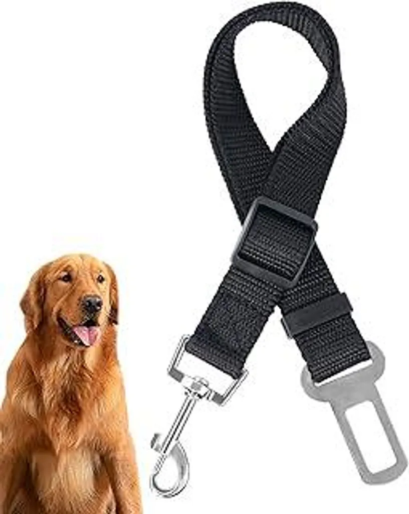 Offerta Redamancy Cintura Auto Cani - Sicurezza Totale in un Click!