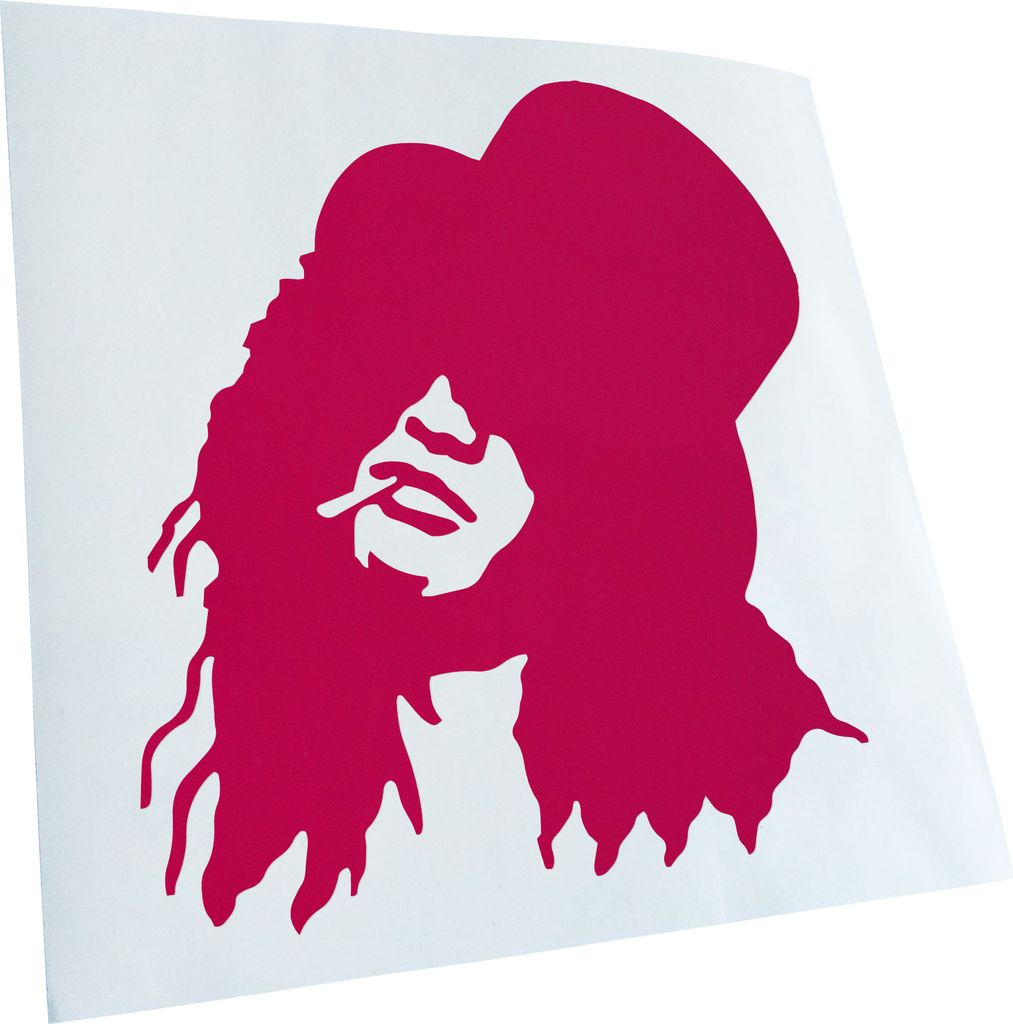 Kiwistar - Autoaufkleber - Rockmusiker Rockband Heckscheibe - Aufkleber für Auto Kfz Fahrrad, LKW, Truck Mofa