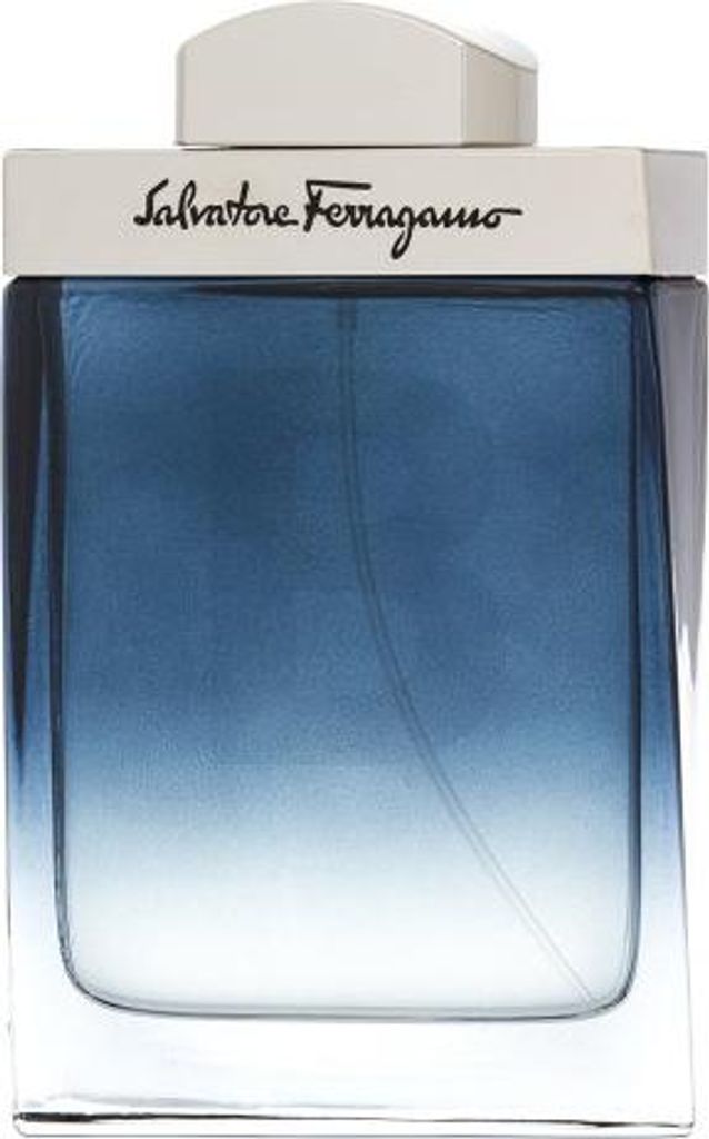 Salvatore Ferragamo Subtil pour Homme EDT 100 ml M Immagine del prodotto 