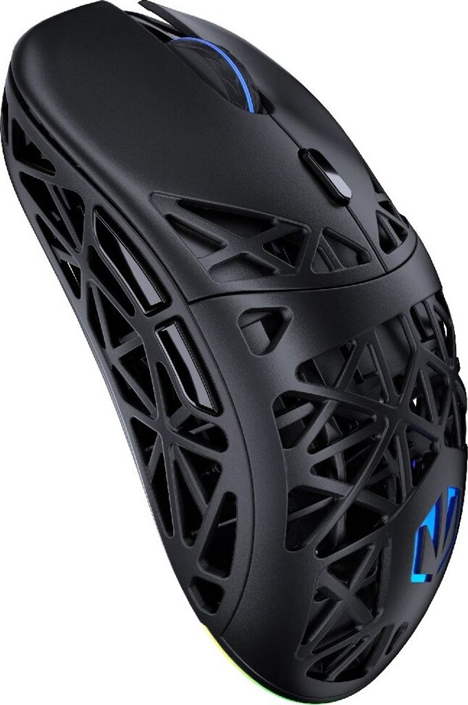 ENDORFY LIV Plus Wireless (schwarz, inkl. Ladestation)