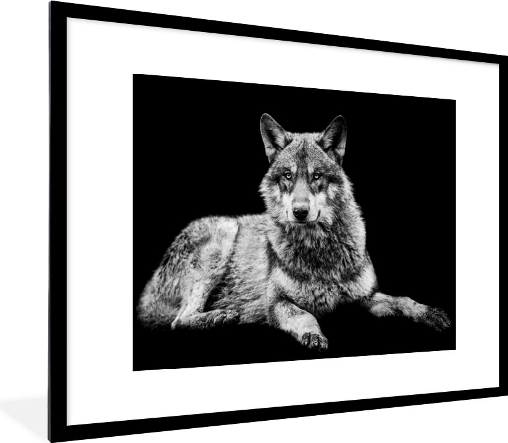 MuchoWow Gerahmtes Poster Wildlife - Wolf - Schwarz - Weiß 80x60 cm - Poster mit Schwarzem Bilderrahmen Wandposter Rahmen Foto Bilder - Schlafzi...