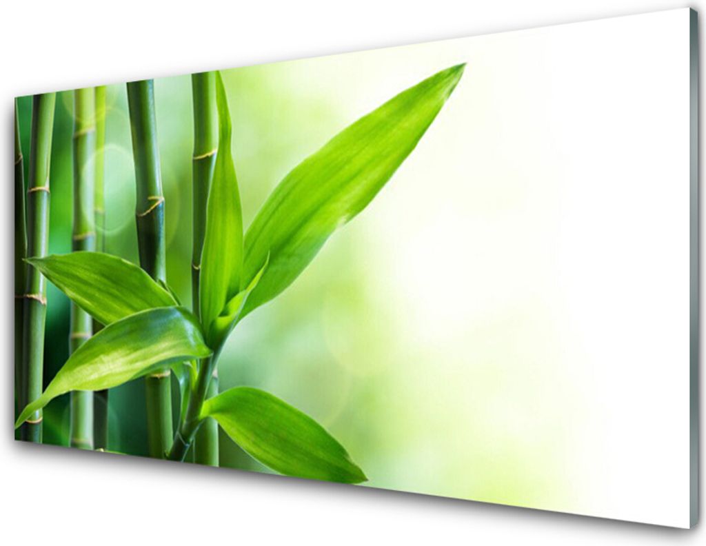 Acrylglasbilder 100x50 Wandbild Druck Bambusrohre Pflanzen