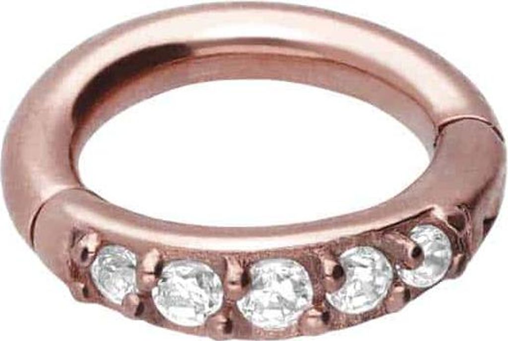 Ohrpiercing, Nasenpiercing, Septum Piercing Chirurgenstahl Segmentring Clicker 5 EINGEFASSTE KRISTALLE RoséGold Innendurchmesser: 5 mm
