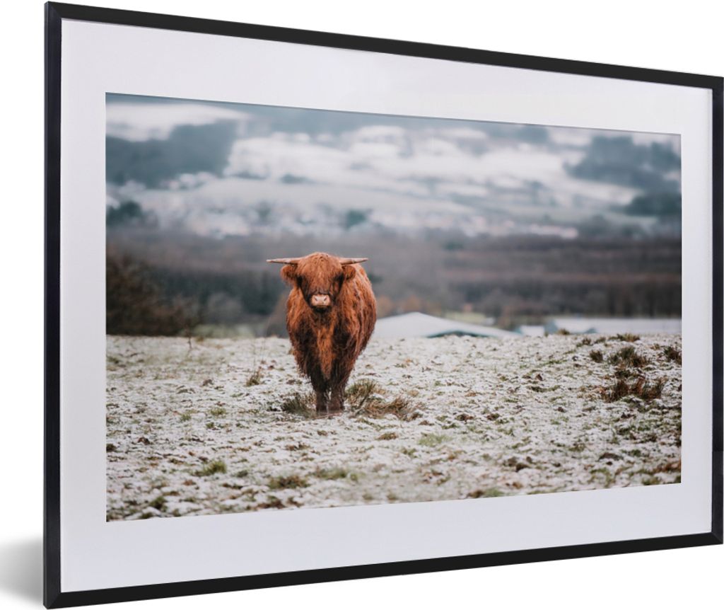 MuchoWow Gerahmtes Poster Schottischer Highlander - Schnee - Berg 60x40 cm - Poster mit Schwarzem Bilderrahmen Wandposter Rahmen Foto Bilder - Sc...