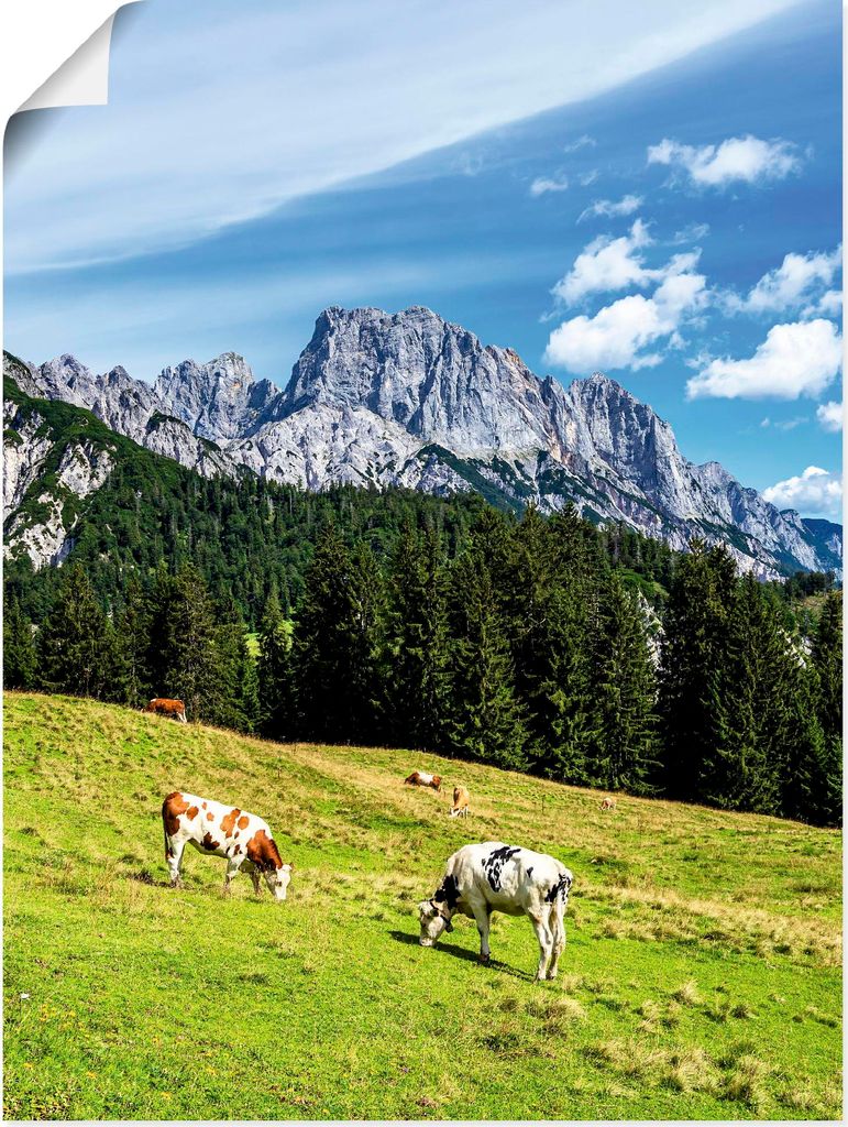 ARTland Poster Blick auf die Litzlalm mit Kühen Größe: 90x120 cm