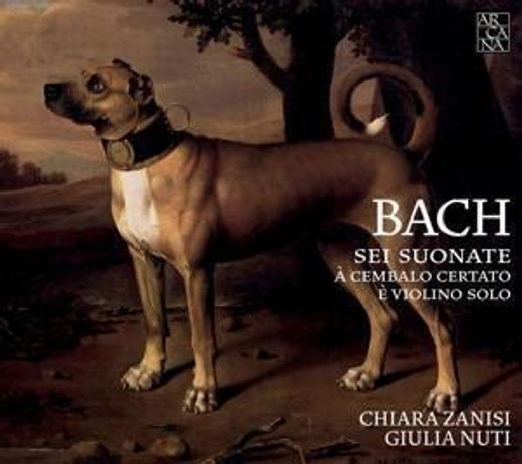 Zanisi, C: Sonaten für Violine und Cembalo