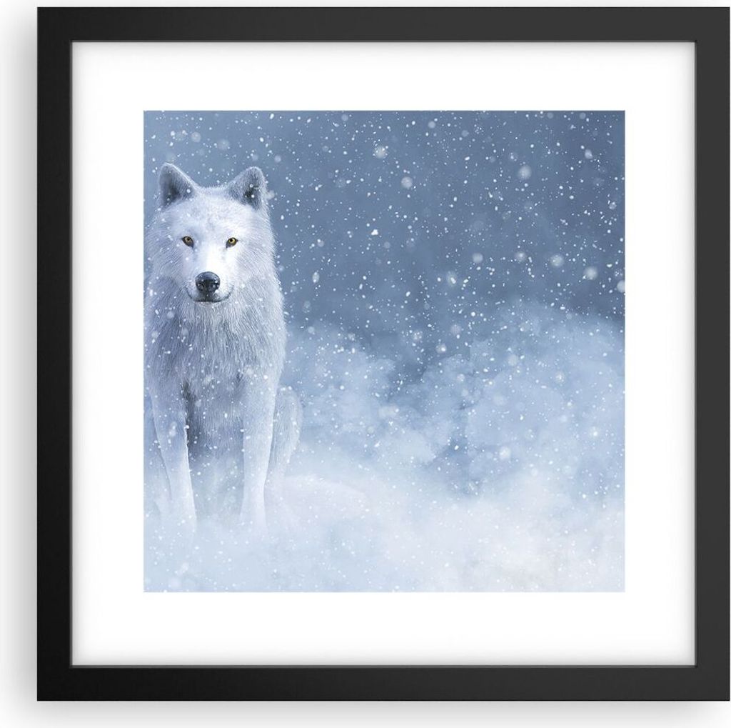 Gerahmtes Poster - Schwarzer Rahmen - Weiß Wolf Schnee - 30x30 cm - Wand Bild - Wanddeko - Wandbilder - Kunstposter - Wandposter - Bilderrahmen - ...