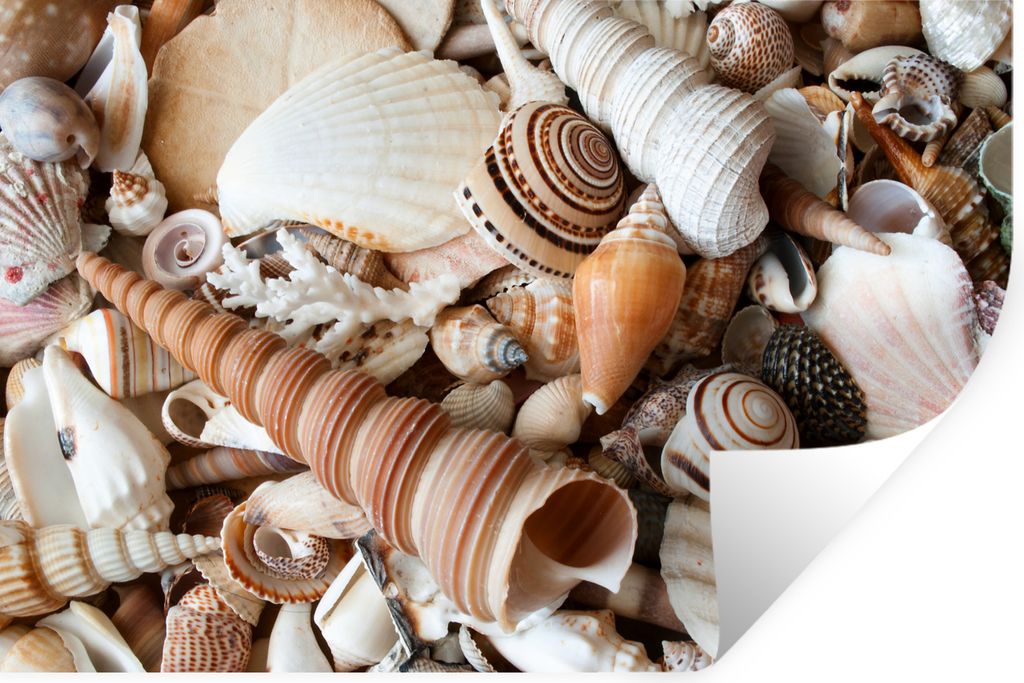 MuchoWow - Aufkleber