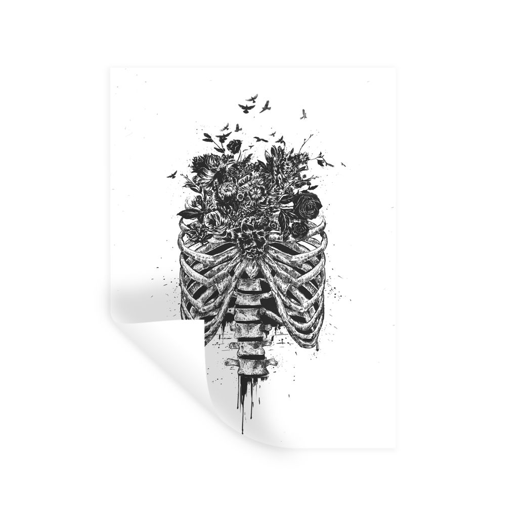 MuchoWow Wandtattoo Wandsticker Wandaufkleber Rippen - Blumen - Vögel - Natur 30x40 cm Selbstklebend und Repositionierbar - Sticker - Dekorfolie