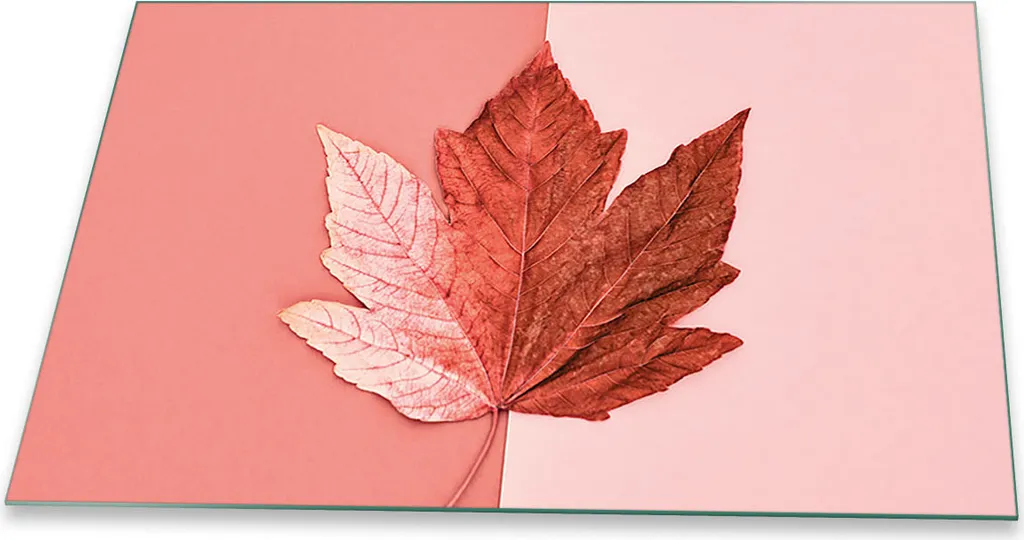 Coprifornello Vetro 80x52 Rosa Naturale | L'Eleganza in Cucina