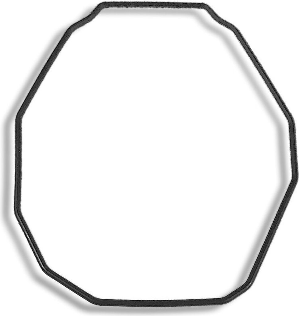 Casio Dichtungsring10348278 PRG-500 PRG-510 PRG-550 PRW-5000 PRW-5100