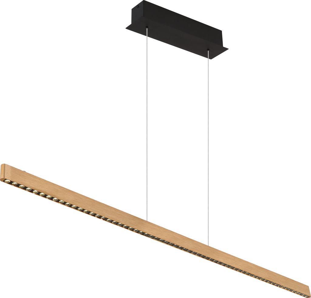 Globo Lighting Hängeleuchte Metall schwarz matt, LED Produktbild 