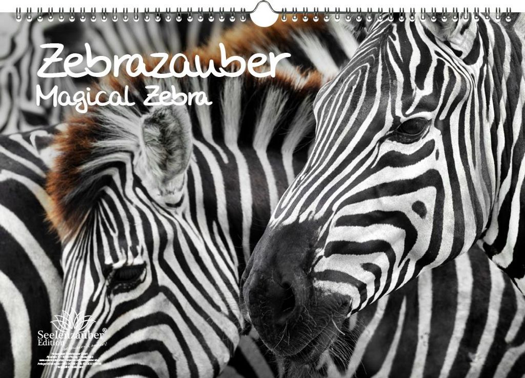 Zebrazauber Immerwährender Kalender DIN A3 Zebra - Seelenzauber