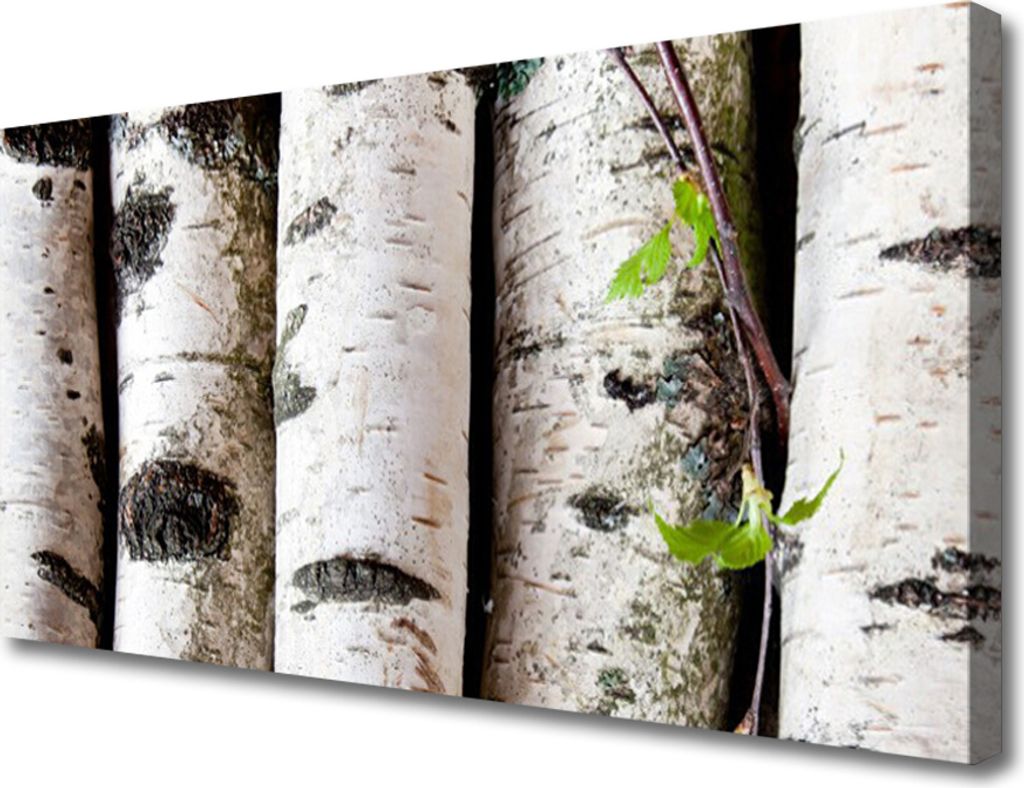 Tulup Leinwand-Bilder 100x50 Wandbild Canvas Kunstdruck Bäume Natur