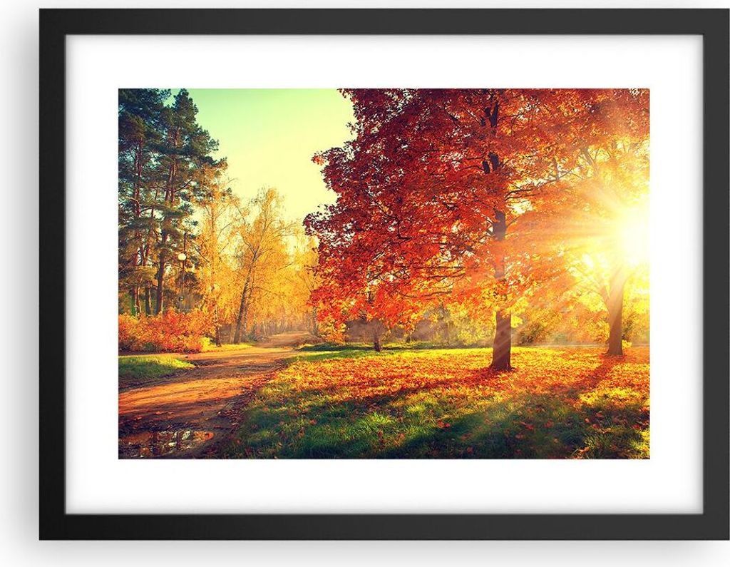 Gerahmtes Poster - Schwarzer Rahmen - Park Herbst Baum - 40x30 cm - Wand Bild - Wanddeko - Wandbilder - Kunstposter - Wandposter - Bilderrahmen - B...