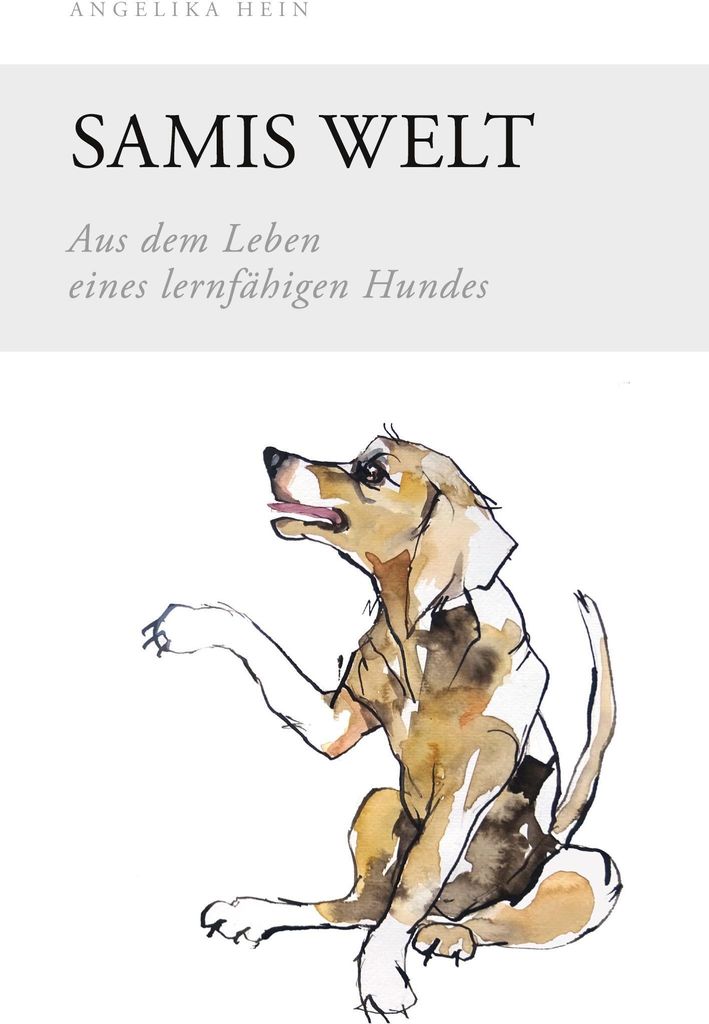 Samis Welt