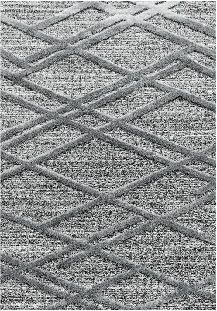 Hochflor Teppich Pepe rechteckig, Farbe: Grau, Größe:120x170 cm