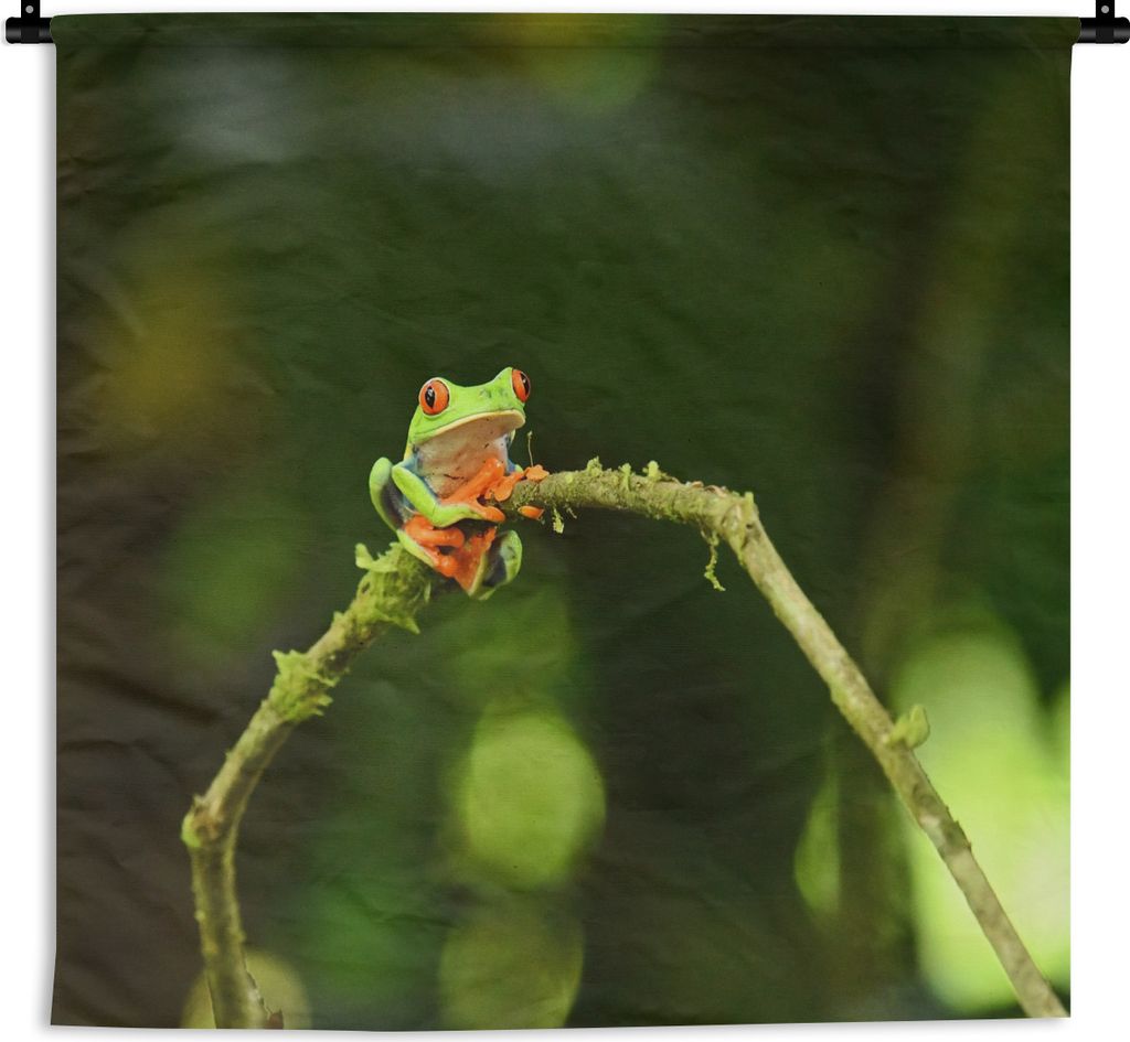 MuchoWow Wandteppich Wandbehang Frosch - Äste - Grün 150x150 cm Tapisserie Dekoration Wandtuch - Wohnaccessoires - Modernes