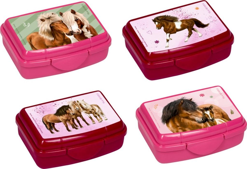 Mini-Snackbox - Pferdefreunde, sort. Produktbild 