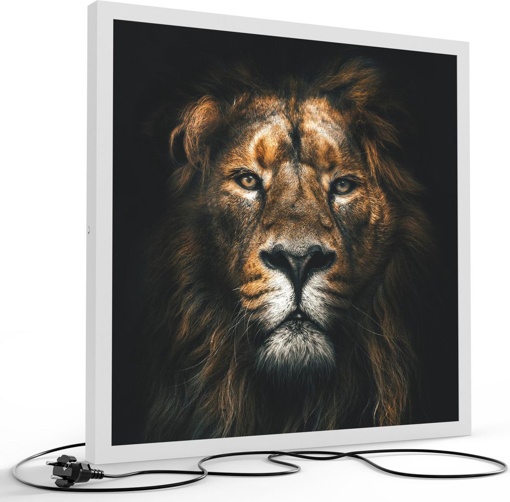 DEQORI LED-Bild & Lampe 60x60 cm Weiß 'Der König im Schatten' Leuchtbild LED Leuchte