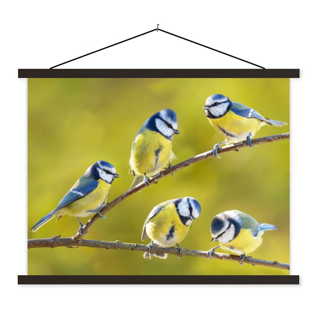 MuchoWow Textilposter Vogel - Blaumeise - Äste - Sonne 150x113 cm mit schwarzem Rahmen - Wohnzimmer