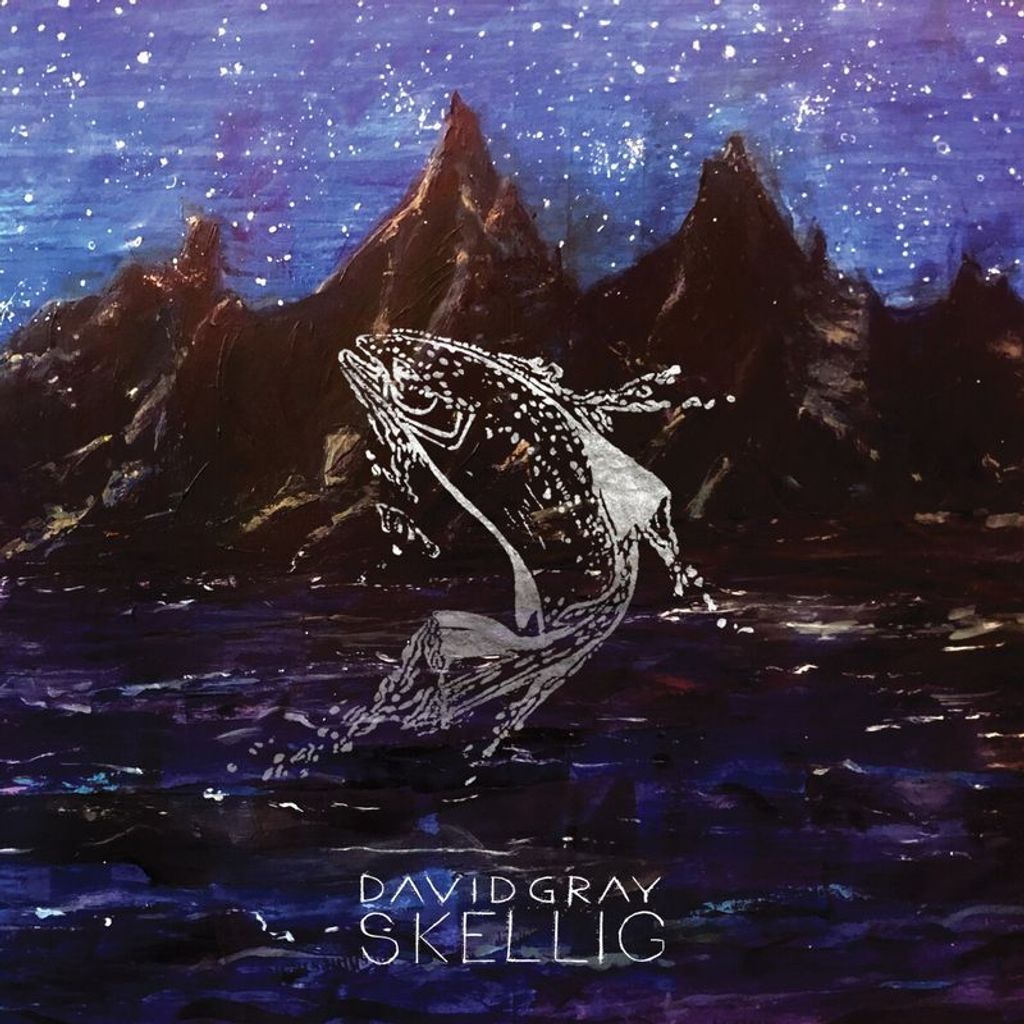 David Gray: Skellig - Laugh A Minute - (LP / S)