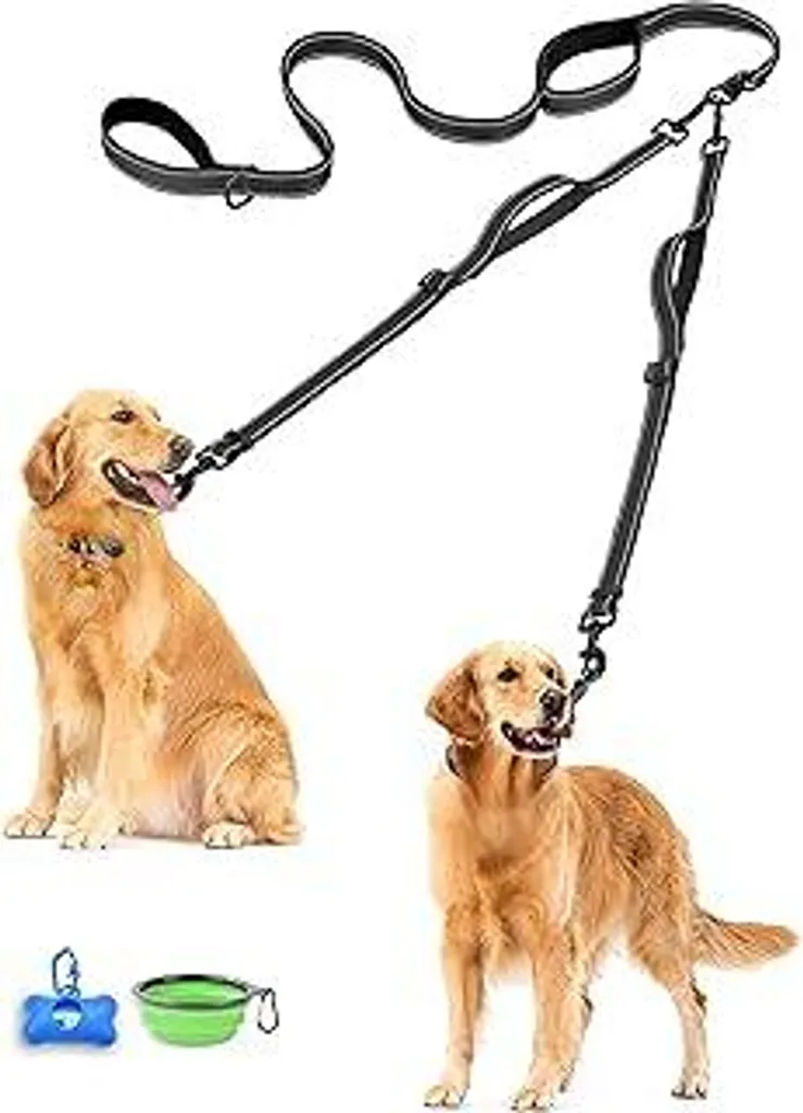 Smetti di Farti Trascinare! Guinzaglio PetBonus 2 Cani Grandi