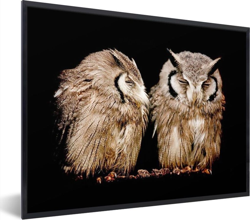 MuchoWow Gerahmtes Poster Eule - Vogel - Schwarz 40x30 cm - Poster mit Schwarzem Bilderrahmen Wandposter Rahmen Foto Bilder - Kunstposter - Wandd...