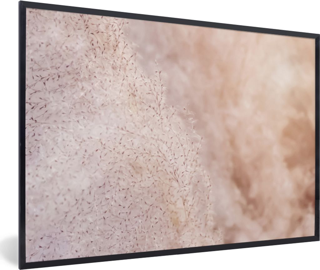 MuchoWow Gerahmtes Poster Pampasgras - Struktur - Pflanzen - Natur 60x40 cm - Poster mit Schwarzem Bilderrahmen Wandposter Rahmen Foto Bilder - P...