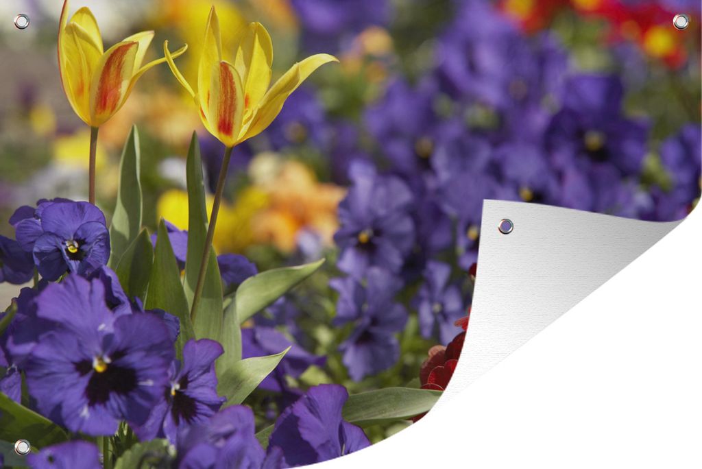 MuchoWow 60x40 cm Outdoor-Poster Gartendeko Sichtschutz Garten Poster für den Garten Frühling - Blumen - Farben