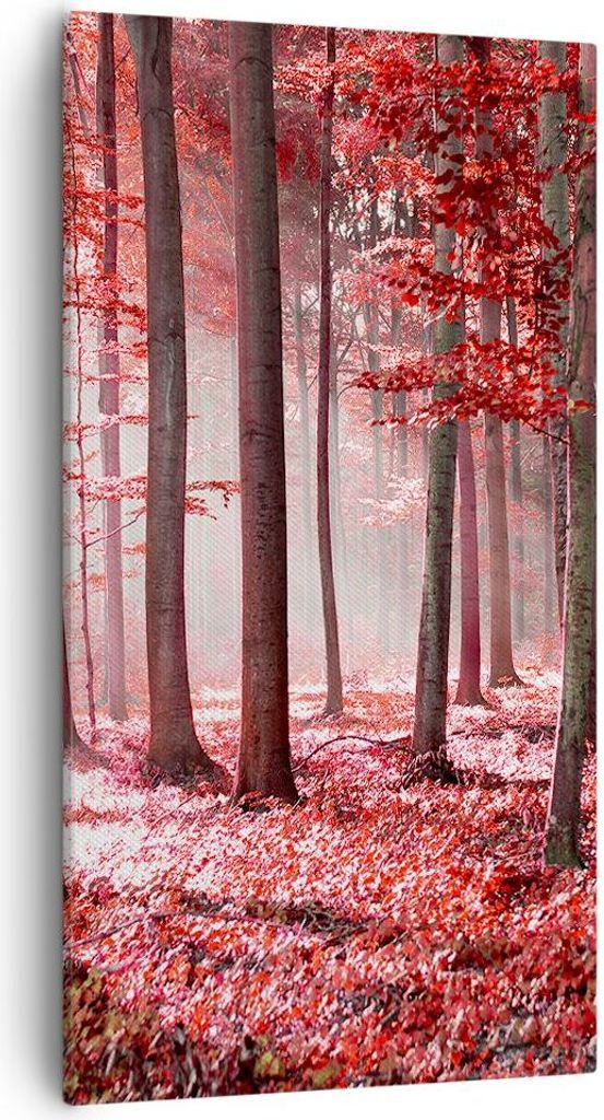 Bild auf Leinwand - Leinwandbild - Einteilig - Wald Rot Bäume - 55x100cm - Wand Bild - Wanddeko - Wandbilder - Leinwanddruck - Bilder - Wanddekora...