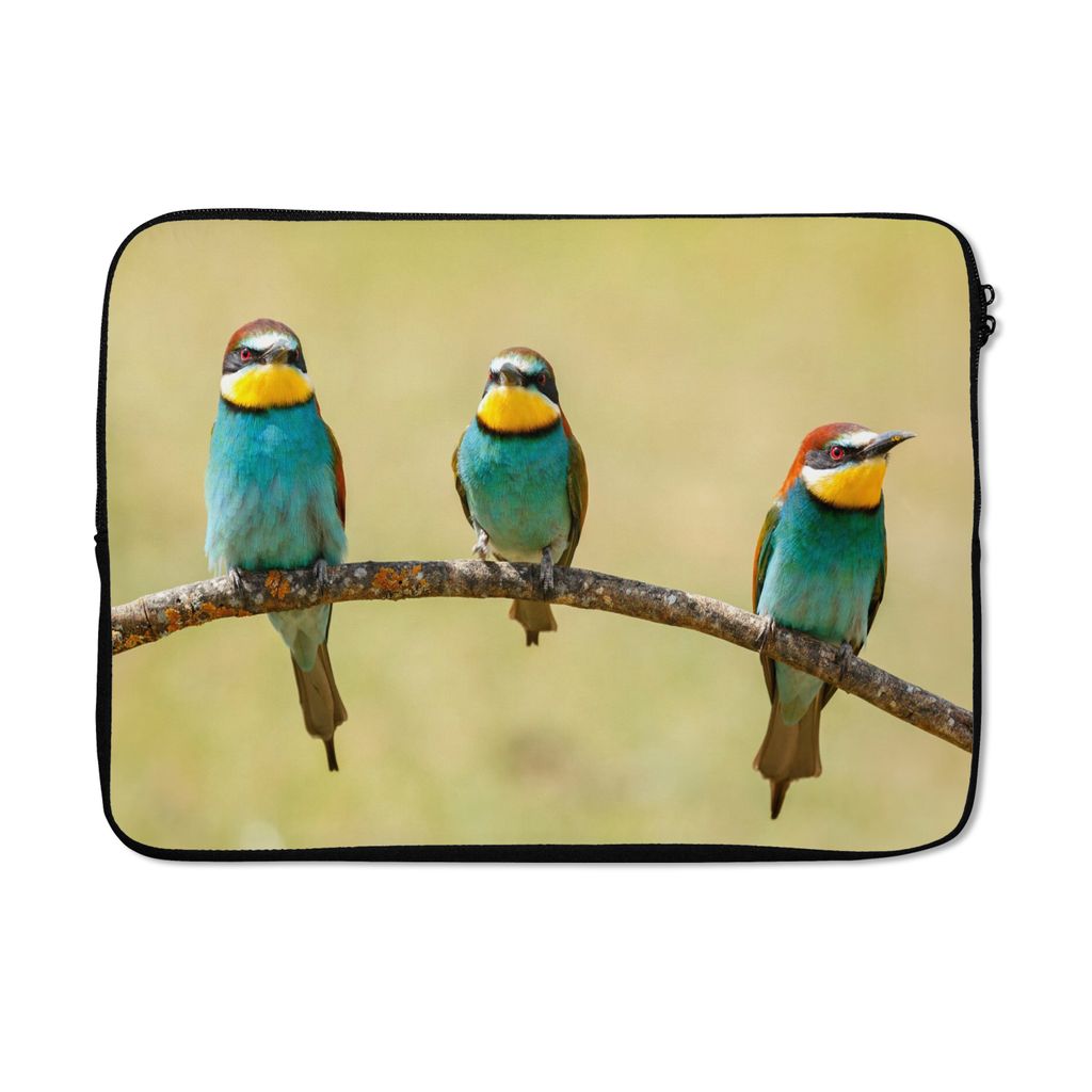 MuchoWow® Laptop Hülle 14 ZollVögel - Tiere - Bienenfresser Produktbild 