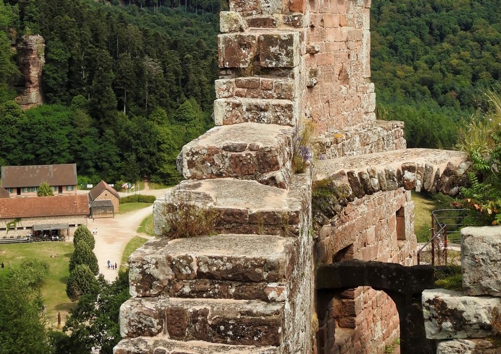 hansepuzzle 63895 - Ruine Puzzle, 260 Teile, Natur, 41,0 x 28,0cm mit hochwertiger Aufbewahrung, Kartonbox und wiederverschließbarem Beutel