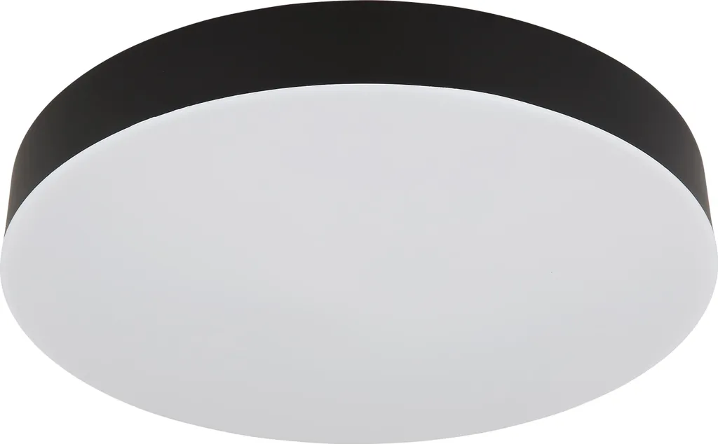 Plafoniera Professionale LED 30cm CCT 24W Nero Bianco IP44