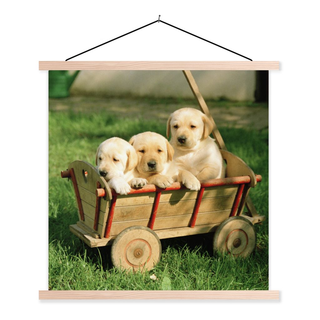MuchoWow Textilposter Drei entzückende Golden Retriever Welpen in einem Wagen 60x60 cm mit holzfarbenen Rahmen - Wanddekoration