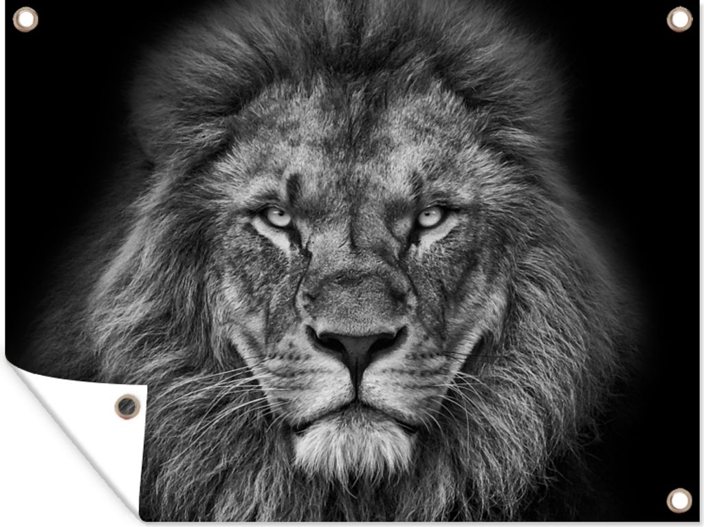 MuchoWow 40x30 cm Outdoor-Poster Gartendeko Sichtschutz Garten Poster für den Garten Tiere - Löwe - Schwarz - Weiß - Porträt